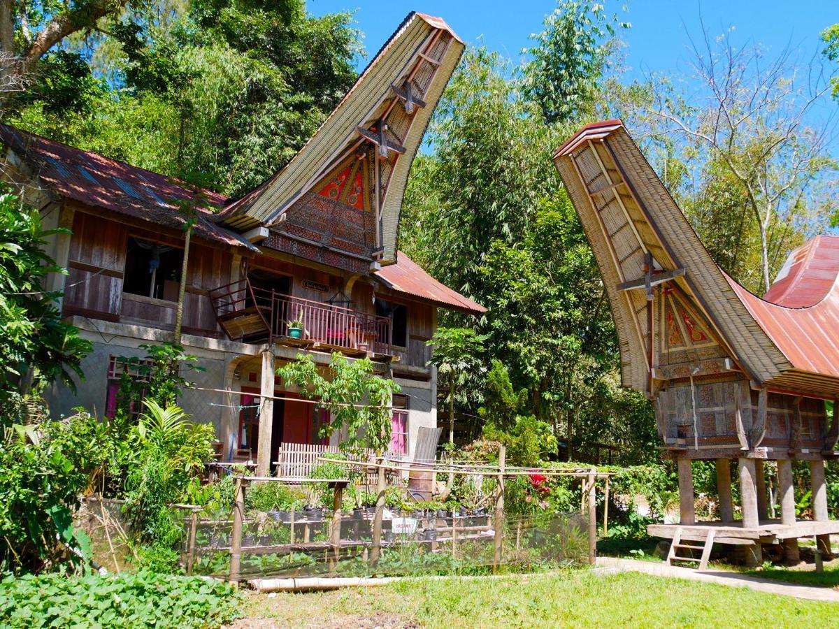 Ne Pakku Manja Family Home Rantepao Exterior foto